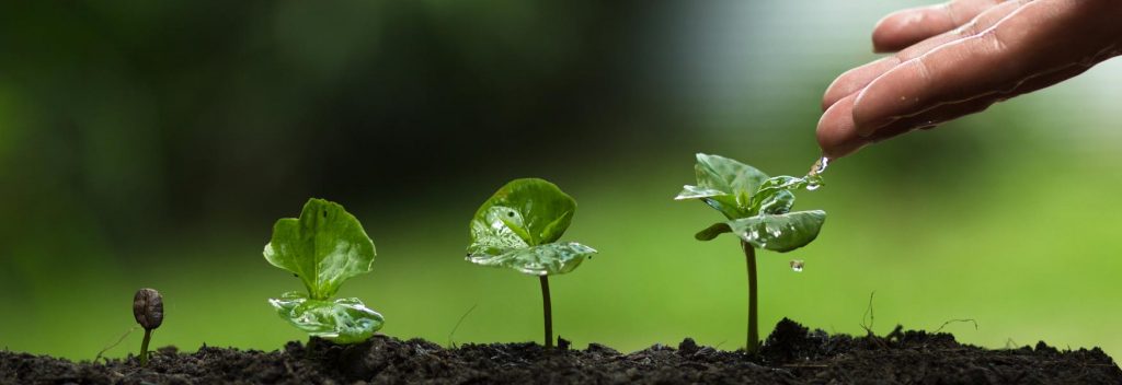 you'll learn how to improve your sales funnel's results